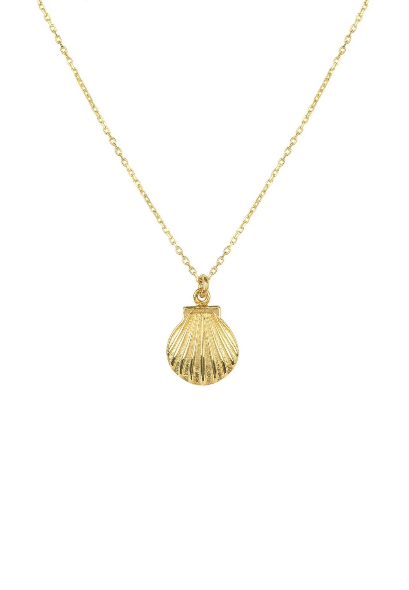 Mini Scallop Shell Necklace Dipped in Gold
