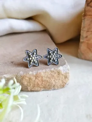 Oxidized Star-Shaped Stud Earrings for Office Chic Look | Sarichka